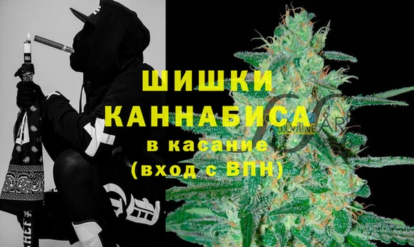 мяу мяу мука Абаза