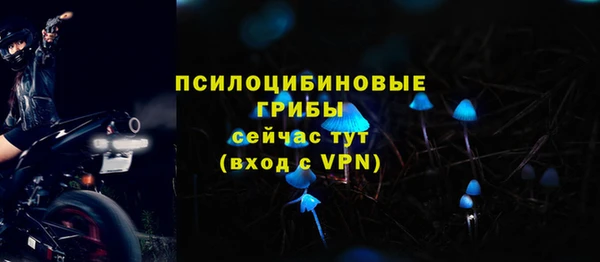 героин Покачи