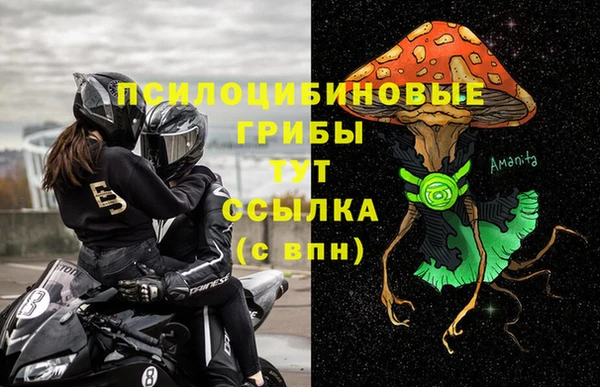 гидра Абдулино